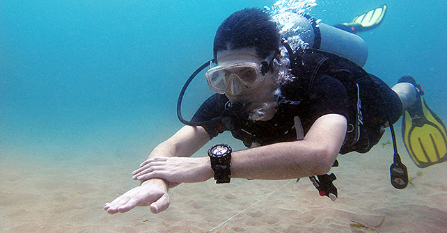 courses included adv padi manual padi instructor certification fee 