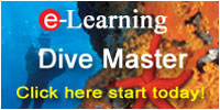PADI Divemaster Online Course