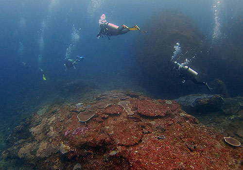 Nusa Penida Dive Site